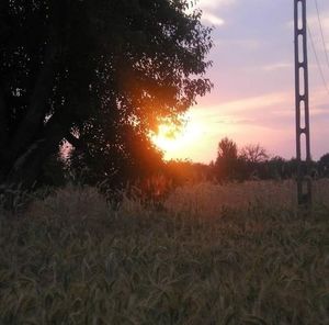 Meet your Posher, Ania